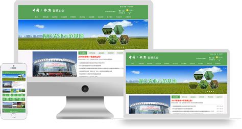 农业企业网站建设大全 费用科目解析与北京企业建站指南