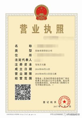 南沙推广电子营业执照 便民利企新举措，助力企业网站建设
